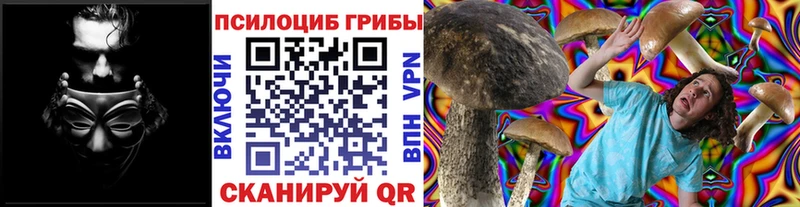 Псилоцибиновые грибы Psilocybine cubensis Бакал